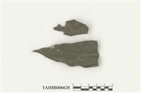 藏品(薄鱗蘚屬)的圖片